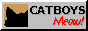 The words “catboys meow!” next to a silhouette of a cat head flapping its ears.